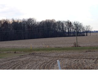 Property photo 13 - LAND AUCTION - 19.55+/- ACRES IN 1 TRACT IN ALLEN COUNTY, INDIANA